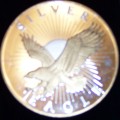 Silver eagle 11